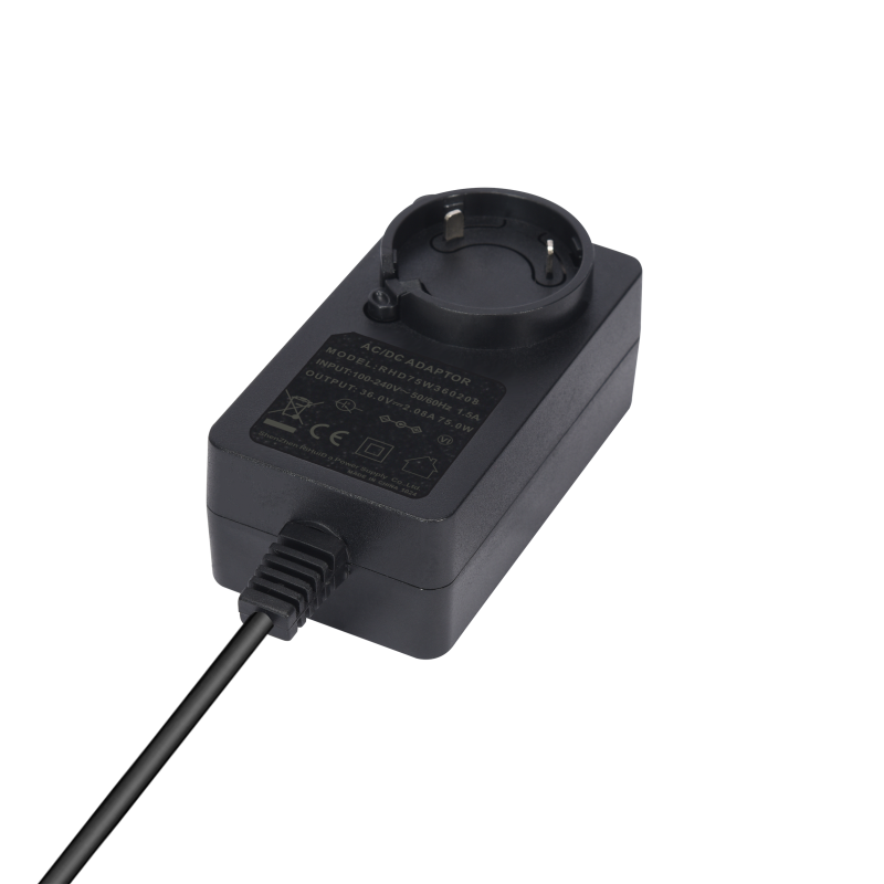75W Series Medical Power Adapter